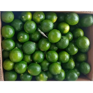 LIMÓN TAHITI